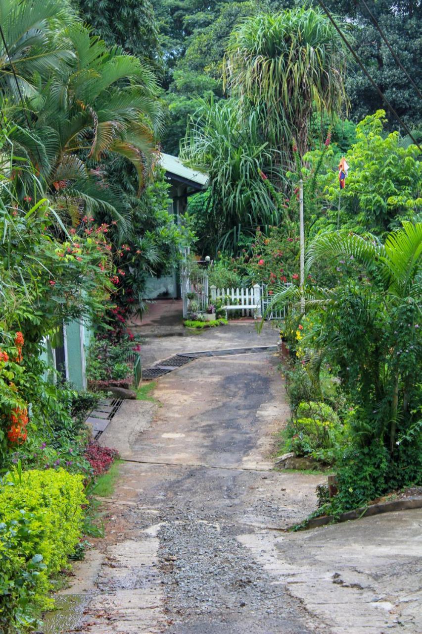 New Nethmi Villa Kandy Extérieur photo